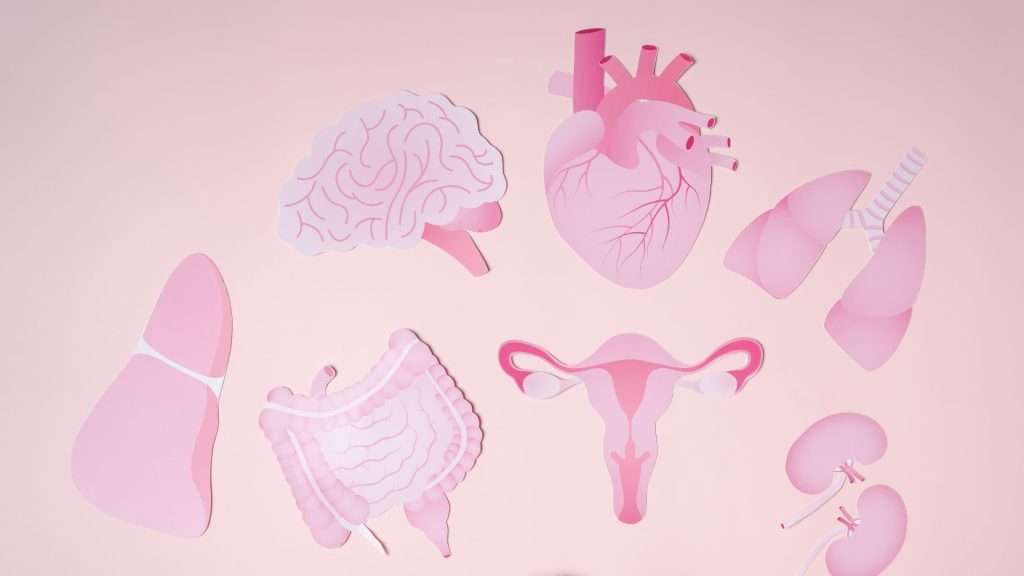 Unraveling Hormonal Imbalance in PCOS: A Comprehensive Guide